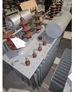 420-10283 / 100kVA